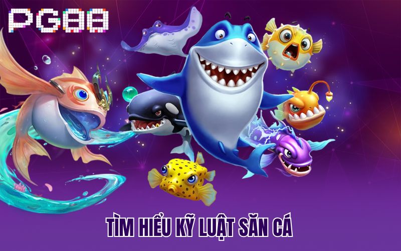 Tìm hiểu kỹ luật săn cá