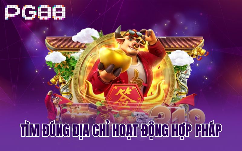 Tìm đúng địa chỉ hoạt động hợp pháp